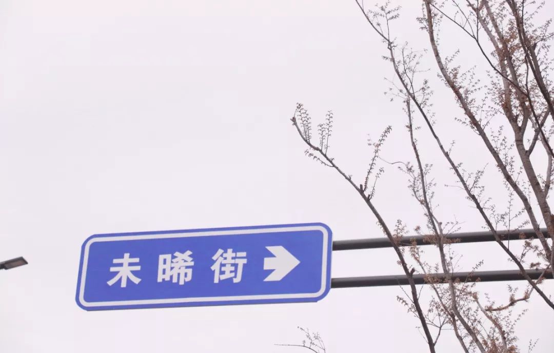 看樱花不用去鸡鸣寺，江北这片樱花林惊艳全南京！