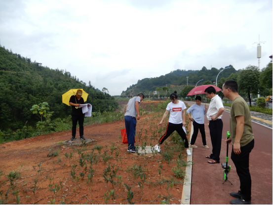 福建漳平:审计助力市政工程建设
