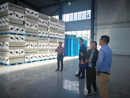 吉林省吉林市审计局关注财政资金使用绩效情况