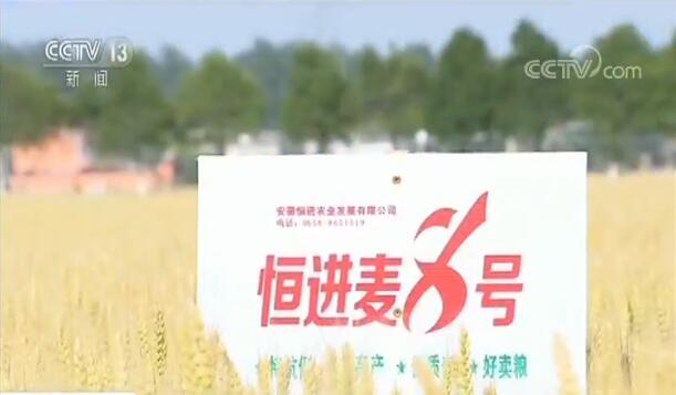 《中国农业农村科技发展报告》首次发布 农业