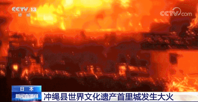 k7娱乐场客户端,冬天养富贵竹,1个条件“最重要”,满足不了就“黄叶”