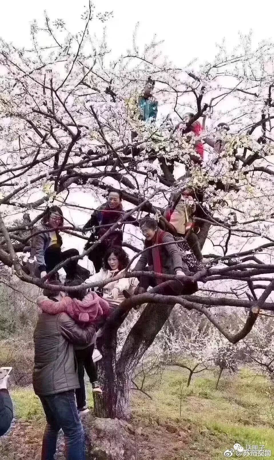 △网传图片