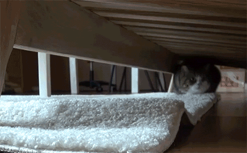 这车现在开会不会很冷?动图 妹子放学一起回家吗?