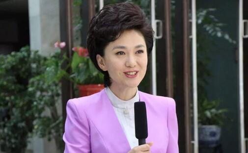 康辉海霞欧阳夏丹盘点央视名嘴主持心得