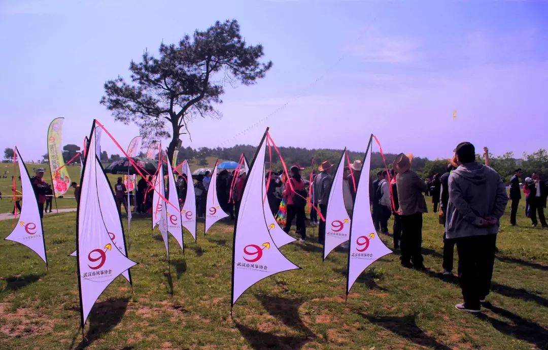 兩萬(wàn)多人都在抬頭看啥？花鳥(niǎo)魚(yú)蟲(chóng)都“飛”上了武漢的天(圖12)