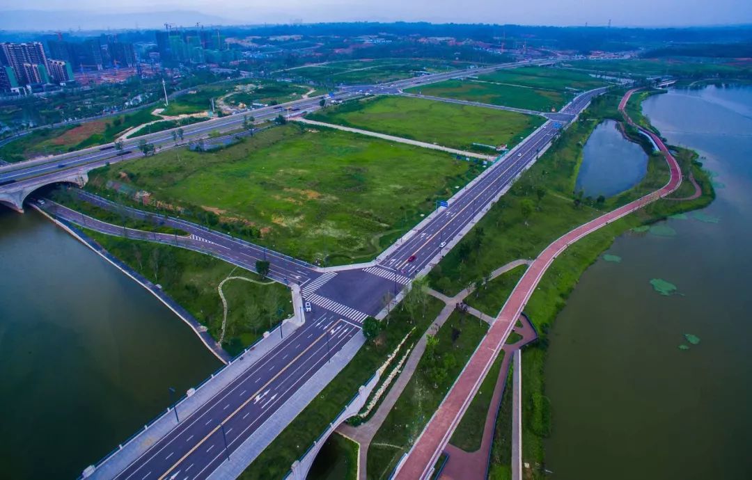 全球濒危鸟类现身成都绿道,三千候鸟挑中兴隆湖越冬