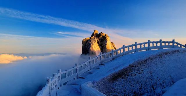 我省这14个地方获得一项全国荣誉!有你们那儿吗?,我的姐姐裘安