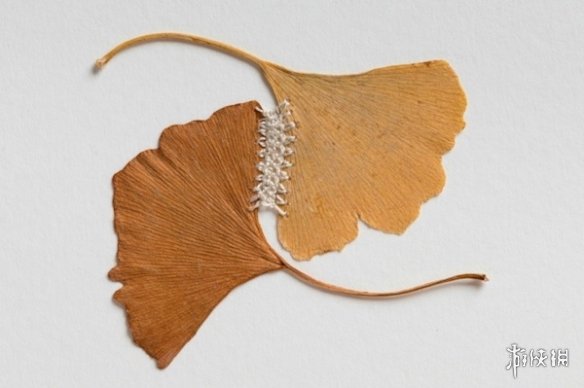 ¹Susanna BauerҶƾƷ Ѳμչ