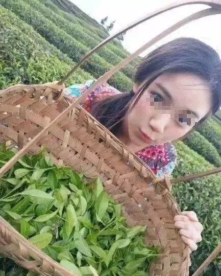 “卖茶女”式诈骗频出,精准打击需“产品经理思维” “卖茶女”式诈骗频出,精准打击需“产品经理思维”