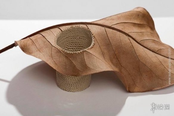 ¹Susanna BauerҶƾƷ Ѳμչ