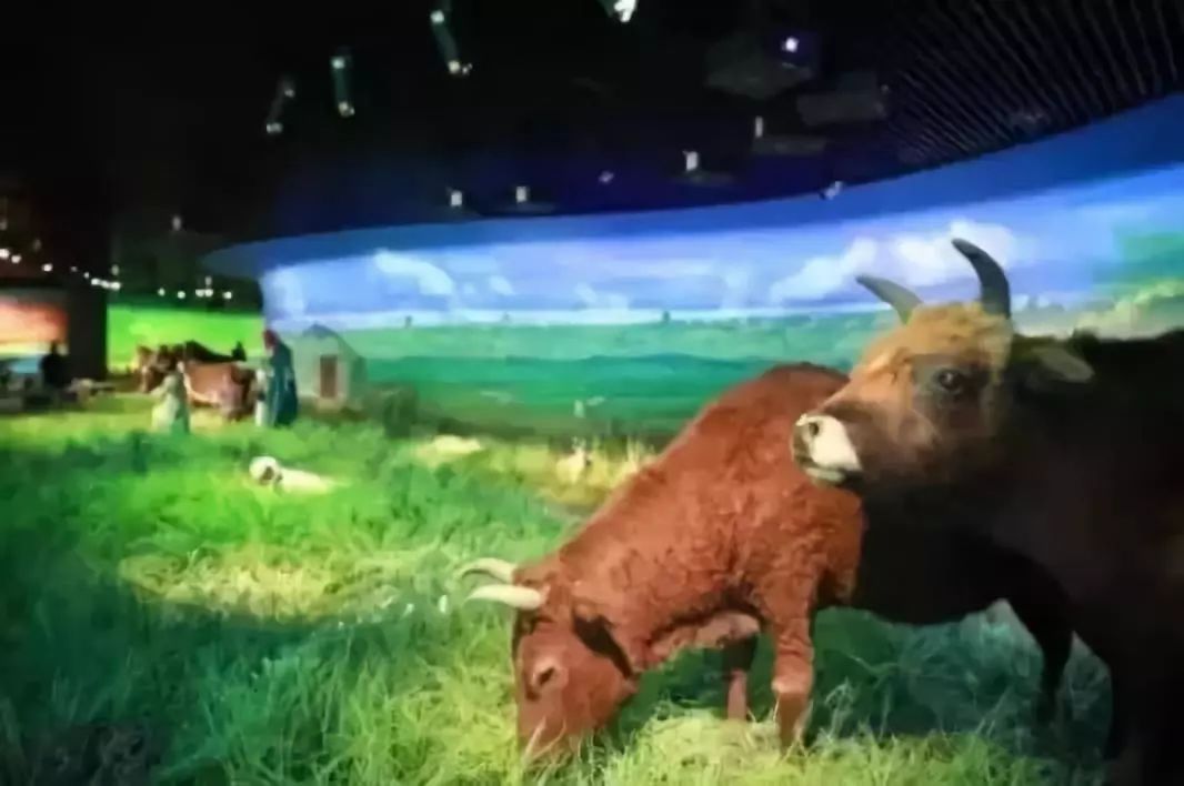 值得收藏！2018年全国新开博物馆中山西有4座，有没有你的家乡？