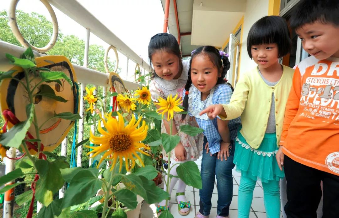 苏州公办幼儿园收费标准即将调整!报销、退费