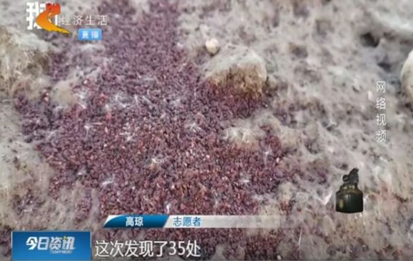 「名人娱乐场首页」此人被曹操丢弃,投奔刘备后受到重用,曾以3万兵马击退曹魏20万