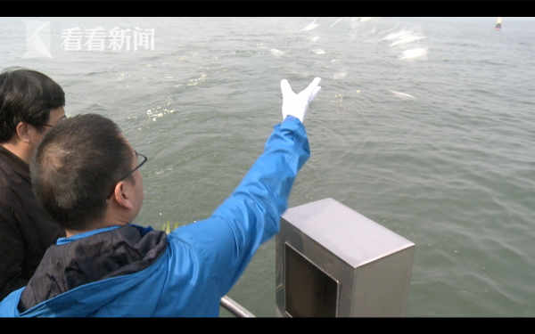 魂归大海 内地首艘骨灰撒海专用船启航