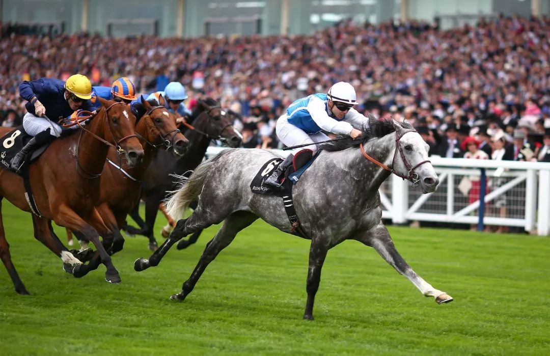 海南拟制定赛马运动发展规划：出台前任何相关传言都是假的