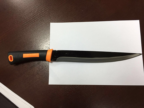 乘动车欲带“杀猪刀” 一男子被行政拘留3日