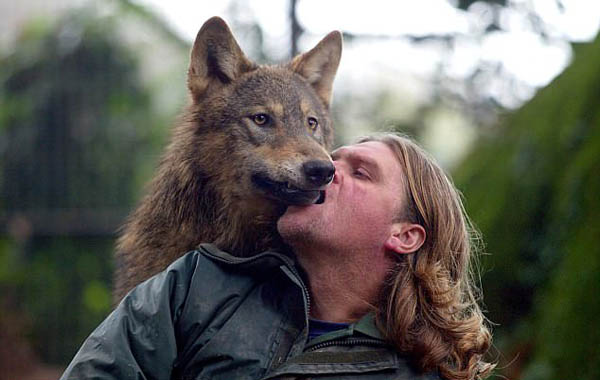 英 狼人 养狼遭邻居抱怨后搬家 转养混血狼|德文