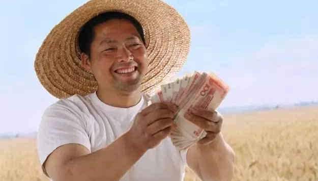 2018年,水稻种植补贴每亩250元?玉米、大豆补