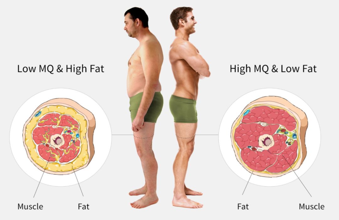 中国体脂人口_体脂率(3)