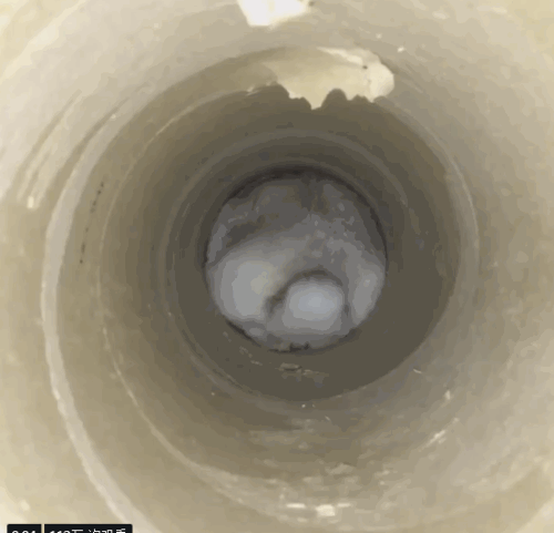 日本网友的兔子屁股摄影展!这么可爱又毛绒绒的屁股想捏吗?