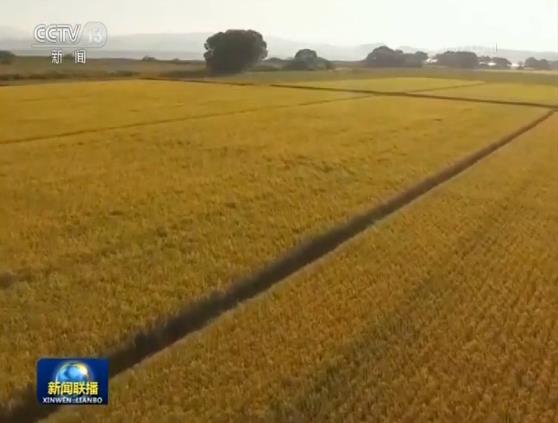 安徽：树作风标杆&nbsp;&nbsp;谋发展之变