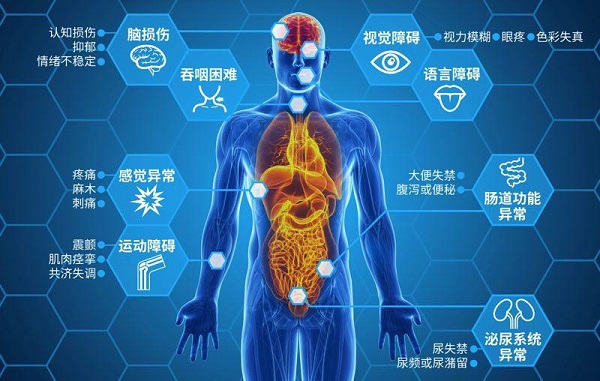 中国沙漠变森林！巴西雨林砍伐猛增67%：异常暴热根...