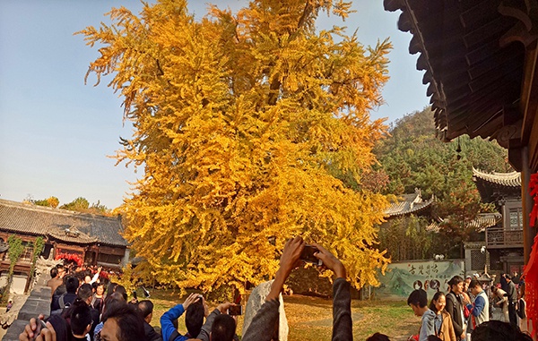 澳门赌场的车·国家监察委主任首次出京再谈这问题 还去这个地方
