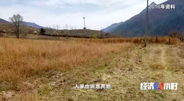 百万发平台官网登陆,蓝光雍锦半岛94套房源拿预售,住宅19149元/平米起