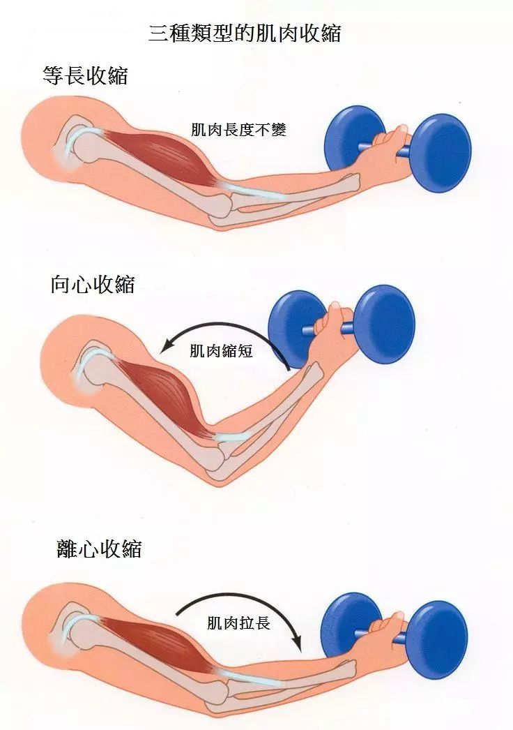 【讲堂】延迟性肌肉酸痛不可怕 运动后你该这