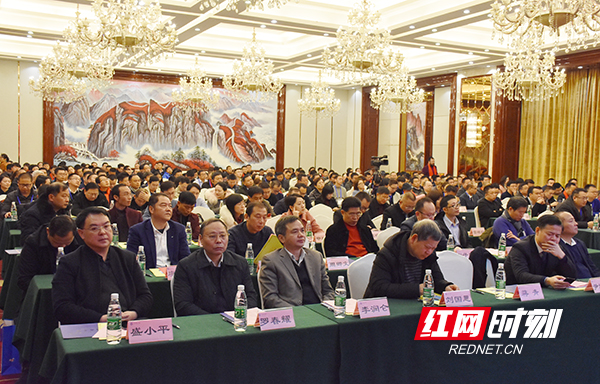 中国中部第二届电子新材料高峰论坛衡山举行