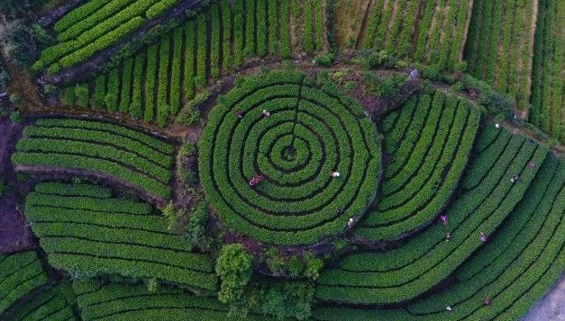 重庆第二国际机场有新消息了!这次永川、荣昌