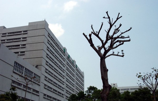 许义翔已被转往高雄救治(图片来源:台湾“ETtoday新闻网”)
