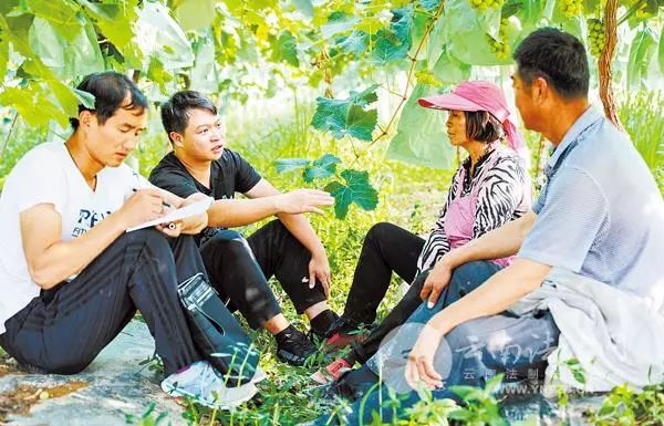 【纪检监察】云南:提高政治站位 用好问责利器