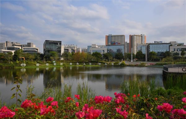 媒体热议：海南成中国深化改革开放新窗口