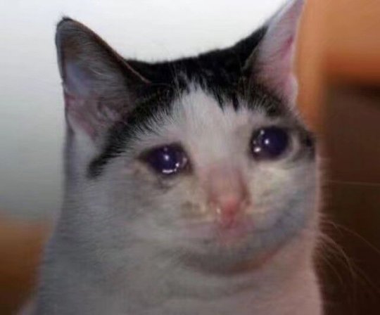 йϷڱΪʲôں泭ϮһŶ