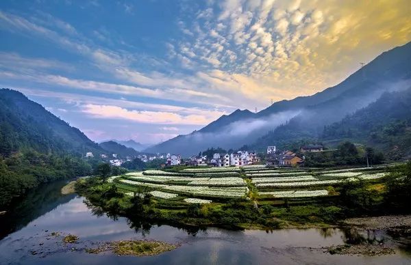 我省这14个地方获得一项全国荣誉!有你们那儿吗?,我的姐姐裘安