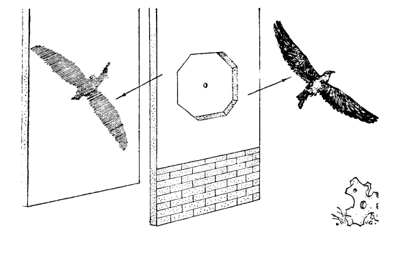 墨子发现小孔成像这件事,含金量如何?