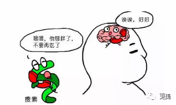 90斤的baby和110斤的刘亦菲腰竟然同样粗 导致水桶腰的坏习惯你有吗