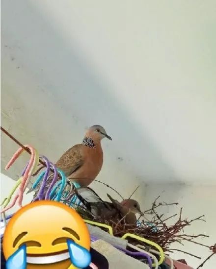 【最强回复】研究生考银行职员最后环节被拒: