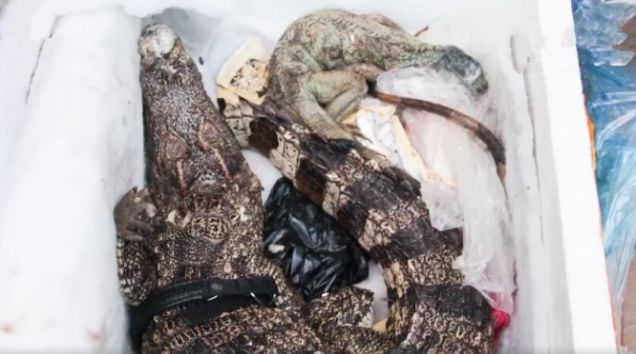 厉害了!2018世界大学学术排名公布,重庆大学首