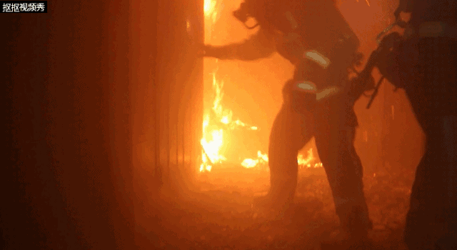 天明花园一栋住宅发生火灾,10名住户被困!