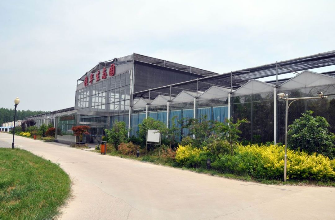 心“宿”春天,情“迁”一周的春色惊喜~