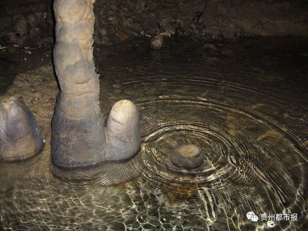 总长达到238.48公里 绥阳双河洞刷新亚洲长洞