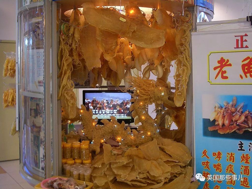 世界上最小最濒危的海豚。它没有鱼鳔,却可能要灭绝在一种鱼鳔上