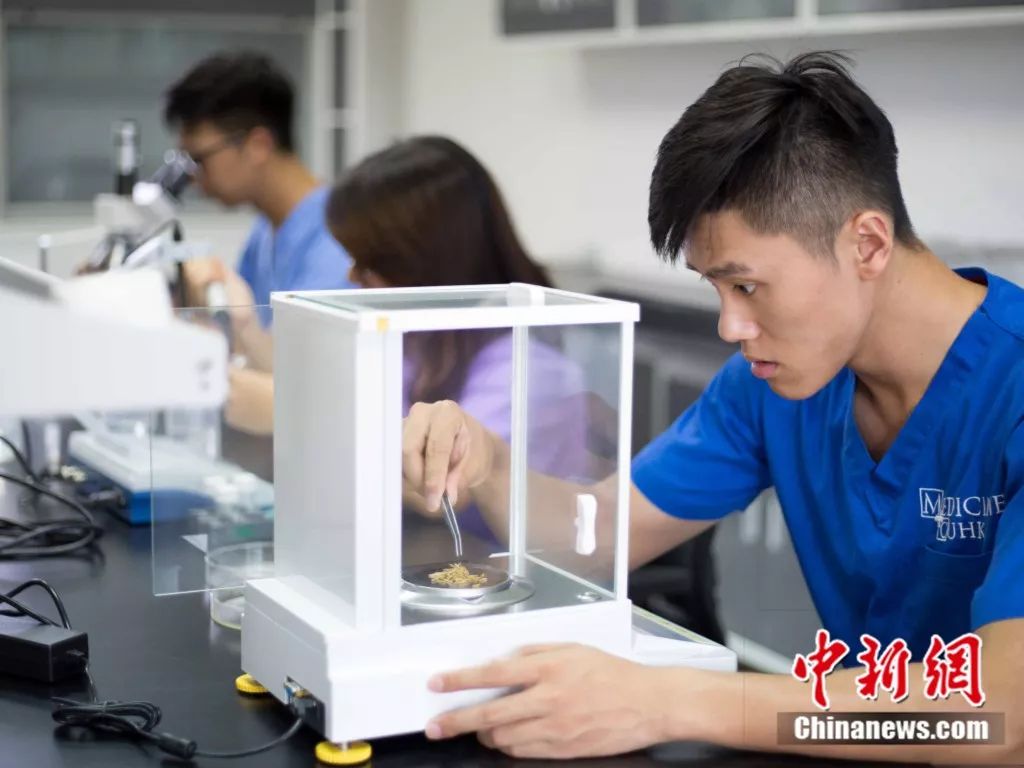 三个香港青年跑到广东来种地 为什么?