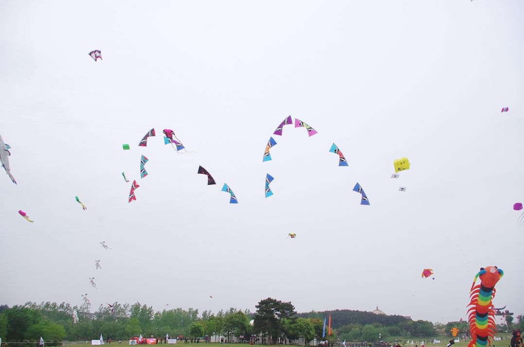 兩萬(wàn)多人都在抬頭看啥？花鳥(niǎo)魚(yú)蟲(chóng)都“飛”上了武漢的天(圖6)