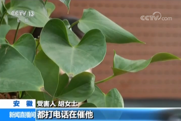 无抵押低利息放款快?警惕这些诈骗幌子!