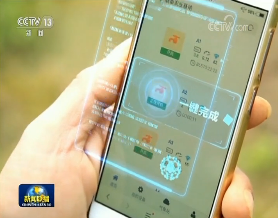 【辉煌60年·壮美新广西】广西:科技成果助推现代特色农业