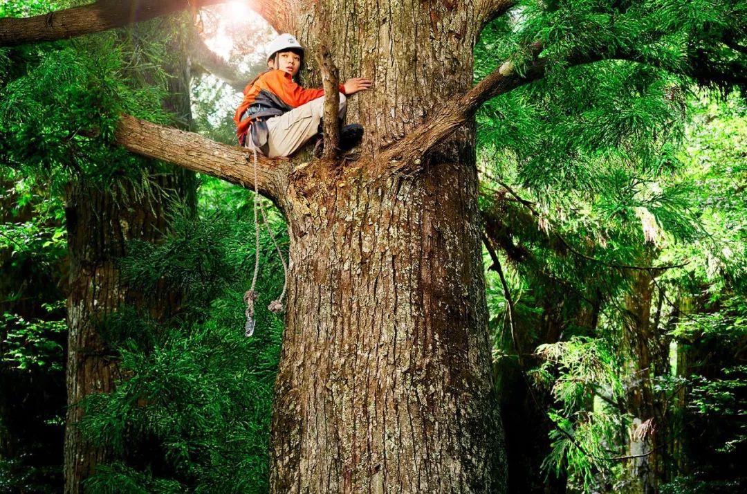 逃避并不可耻，但不总是有用 | 读药