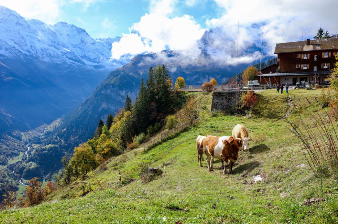 跟着抖音去旅行,那些点赞100W+的旅行地,你去